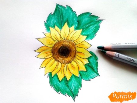 Рисунок на тему подсолнух