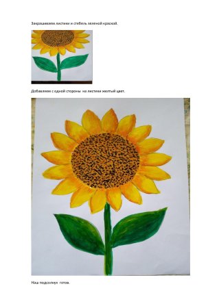 Как нарисовать подсолнух поэтапно