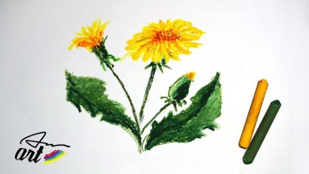 Как нарисовать одуванчик поэтапно