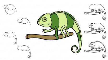 Поэтапное рисование ящерицы