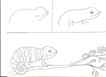 Хамелеон рисунок поэтапно