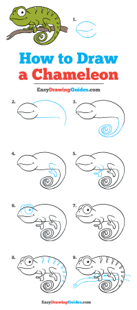Хамелеон поэтапное рисование