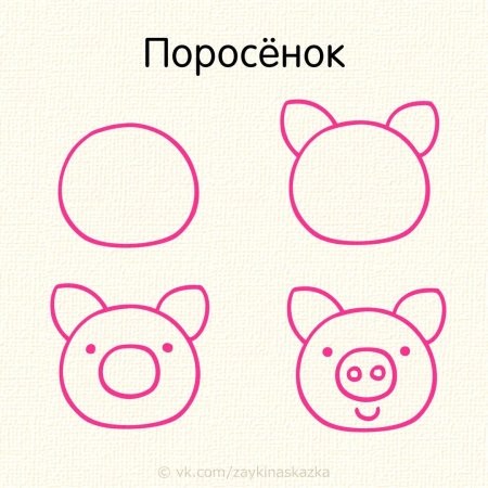 Поэтапное рисование свиньи