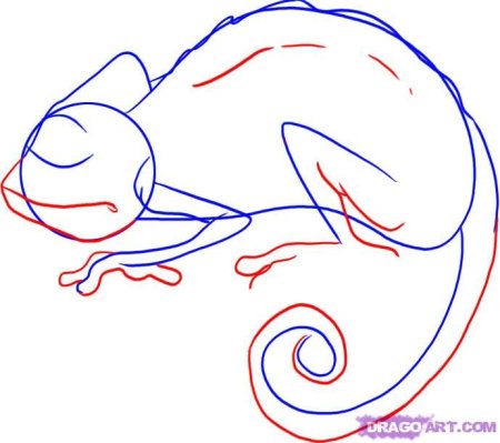 Хамелеон поэтапное рисование