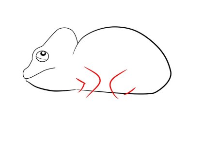 Хамелеон пошаговое рисование для детей