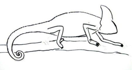 Хамелеон для срисовки для детей