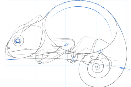 Хамелеон Паскаль раскраска