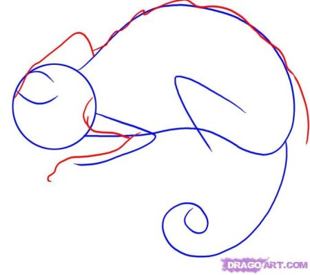 Рисунки с хамелеоном карандашом для детей 10 лет