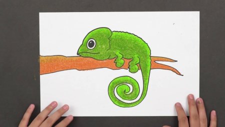 Хамелеон простой рисунок