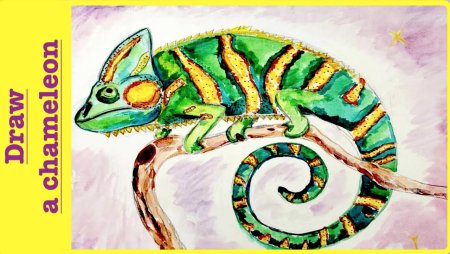 Как нарисовать хамелеона 3 класс