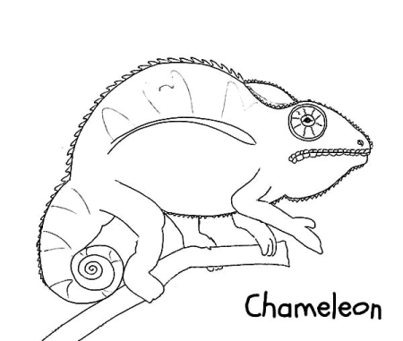 Скетчи хамелеонов