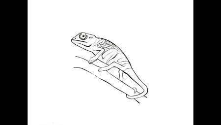 Хамелеон рисунок поэтапно