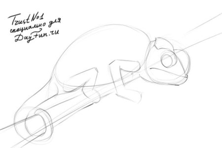 Хамелеон трафарет