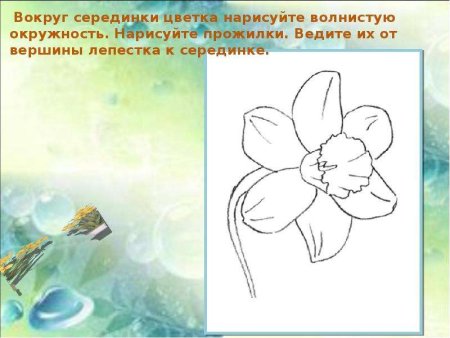 Как нарисовать георгины поэтапно