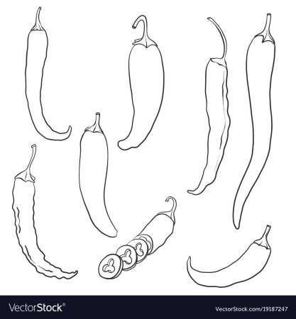Hot Pepper Coloring for Kids Printable