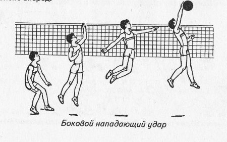Волейбол рисунок карандашом