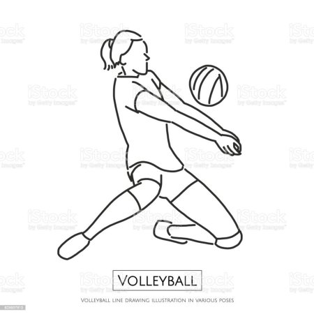 Раскраска спорт раскраски про волейбол