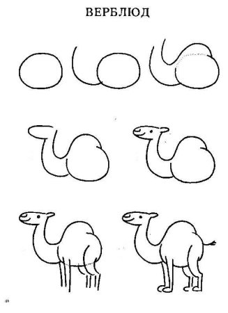 Поэтапное рисование верблюда для дошкольников