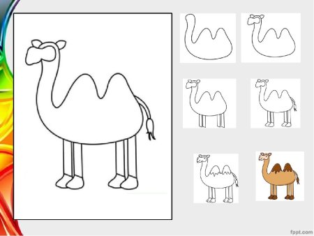 Рисование верблюда в подготовительной группе