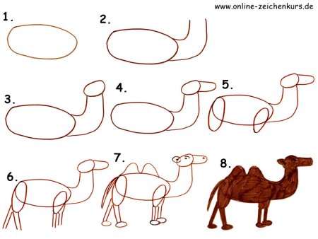Поэтапное рисование верблюда для детей