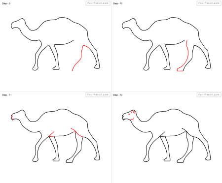 Нарисовать верблюда поэтапно