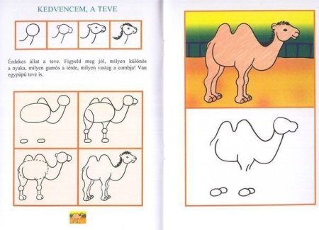 Схема рисования верблюда для детей