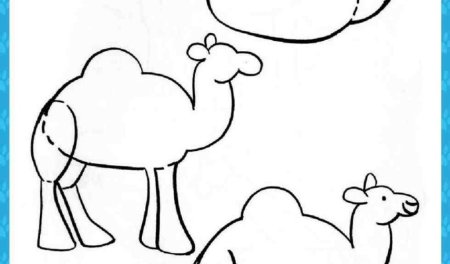 Рисуем верблюда поэтапно для детей