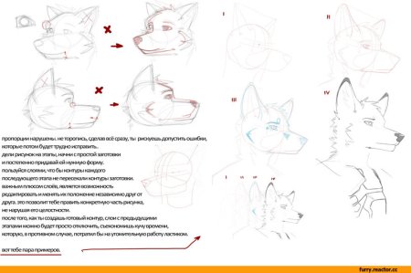 Как можно нарисовать фурри кошку