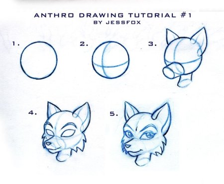 Уроки рисования фурри