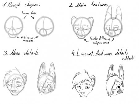 Фурри анатомия головы