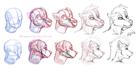 Морда волка спереди референс