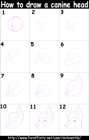 Фурри эмоции референс