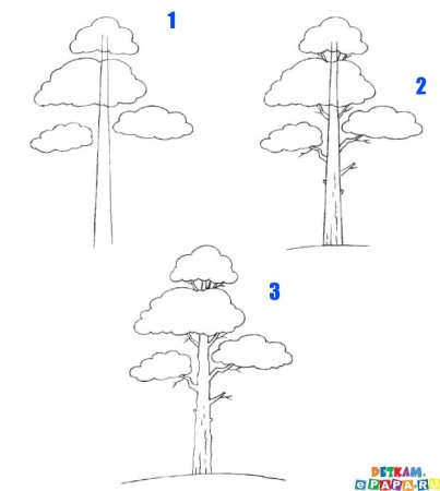 Рисунки природы по этапно