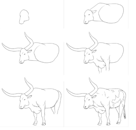 Рисуем бычка поэтапно