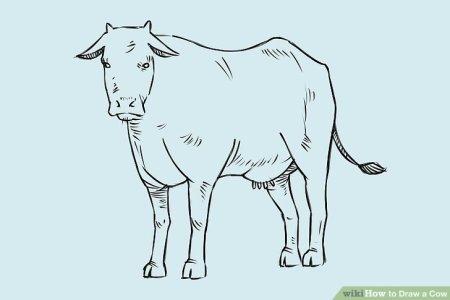 Поэтапное рисование коровы
