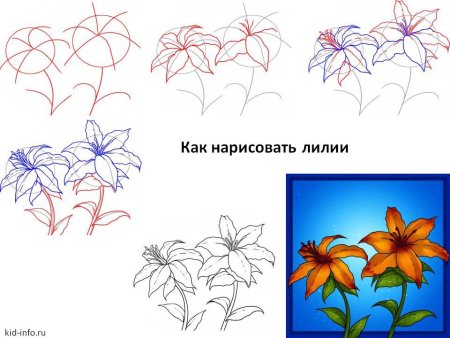 Рисунки цветов пошагово