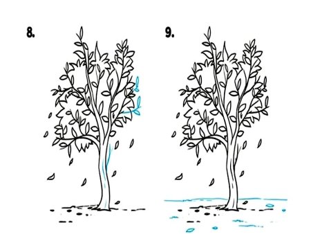 Пошаговый рисунок пейзажа для детей