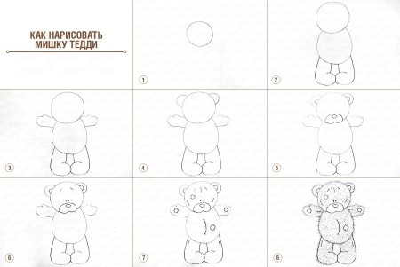 Как рисовать медведя
