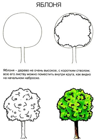 Нарисованное дерево яблоня