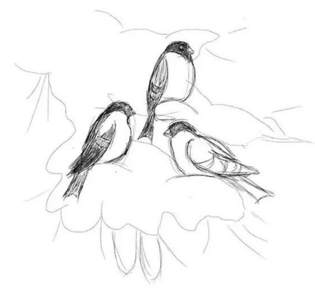 Снегирь рисунок карандашом