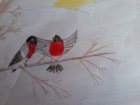 Снегирь на ветке поэтапно