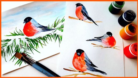 Урок поэтапного рисования снегиря