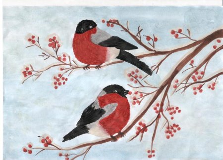 Рисование Снегирь на ветке