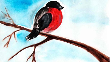 Снегирь рисунок для детей красками