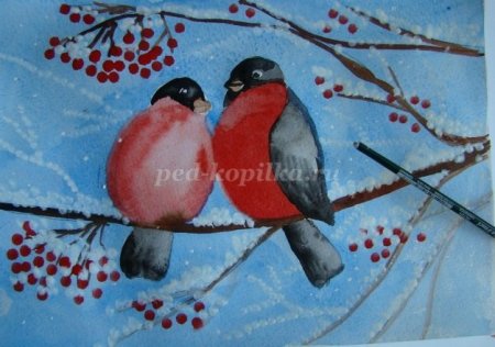 Снегири на ветке рябины пошагово