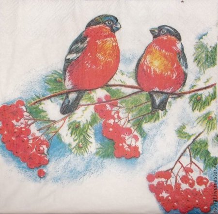 Рисование Снегирь на ветке