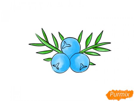 Нарисовать можжевельник