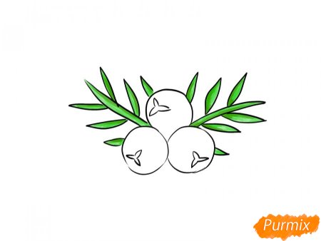 Нарисовать можжевельник карандашом поэтапно ребенку