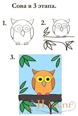 Поэтапное рисование Совы