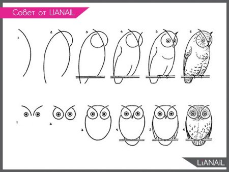 Сова схематично рисунок